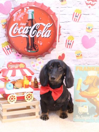 20230906リリィーちゃん